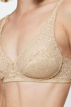  Soft model 229878 Triumph 